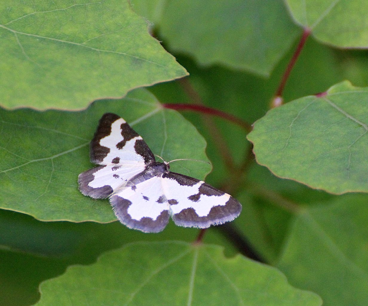 Valokuvaaja: Irja Lehtinen