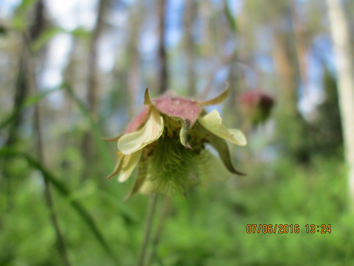 Valokuvaaja: Samu Kähtävä