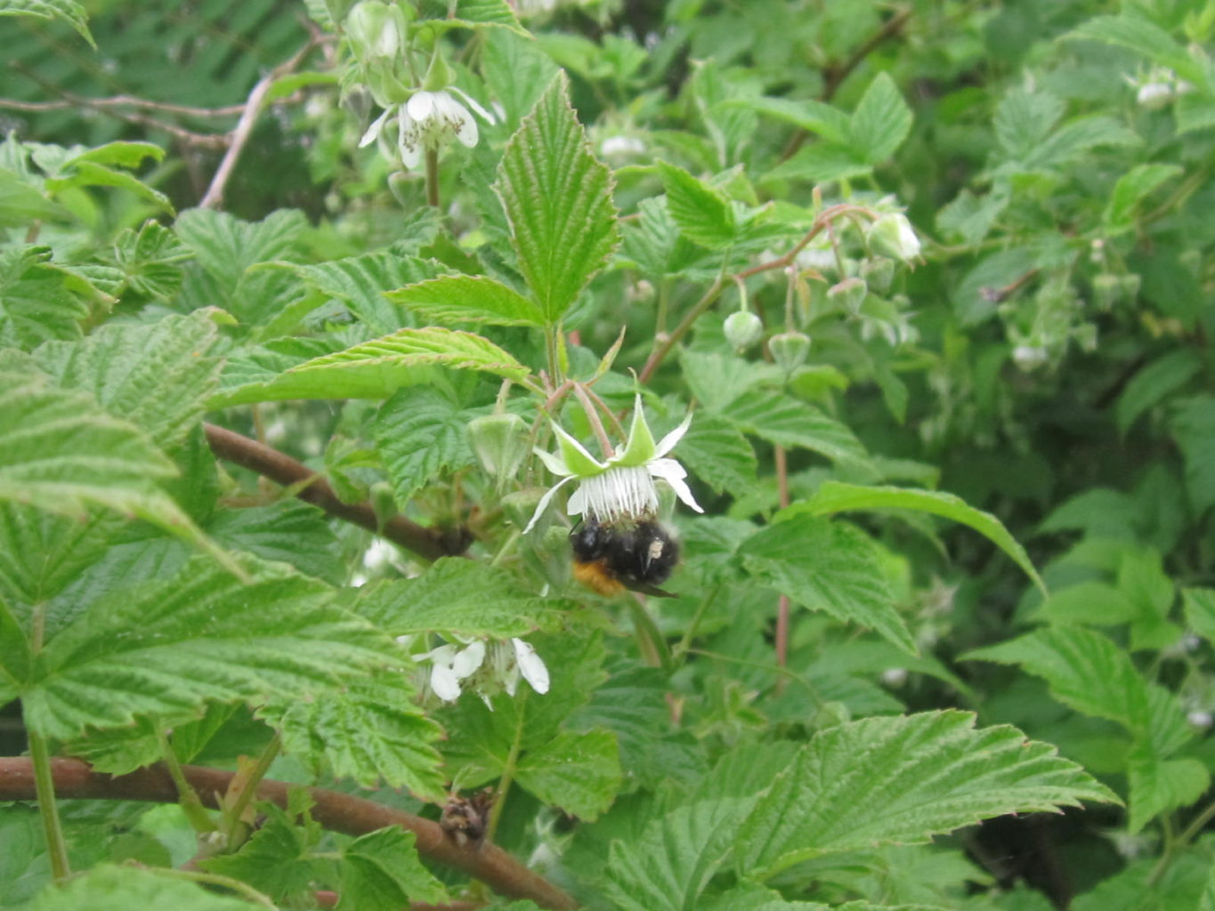Valokuvaaja: Hannu Rissanen