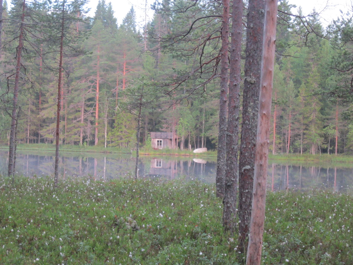 Valokuvaaja: Hannu Rissanen