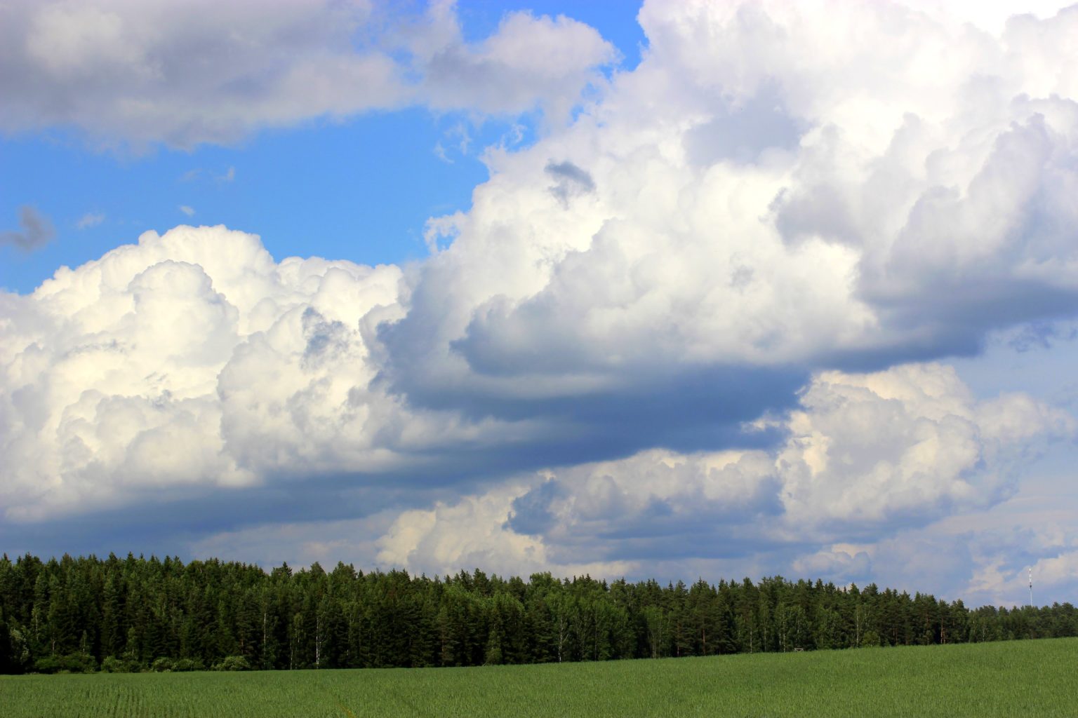 Valokuvaaja: Irja Lehtinen