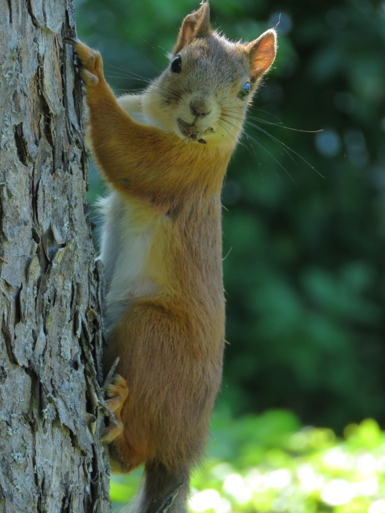 Valokuvaaja: Olivia Kuuri-Riutta