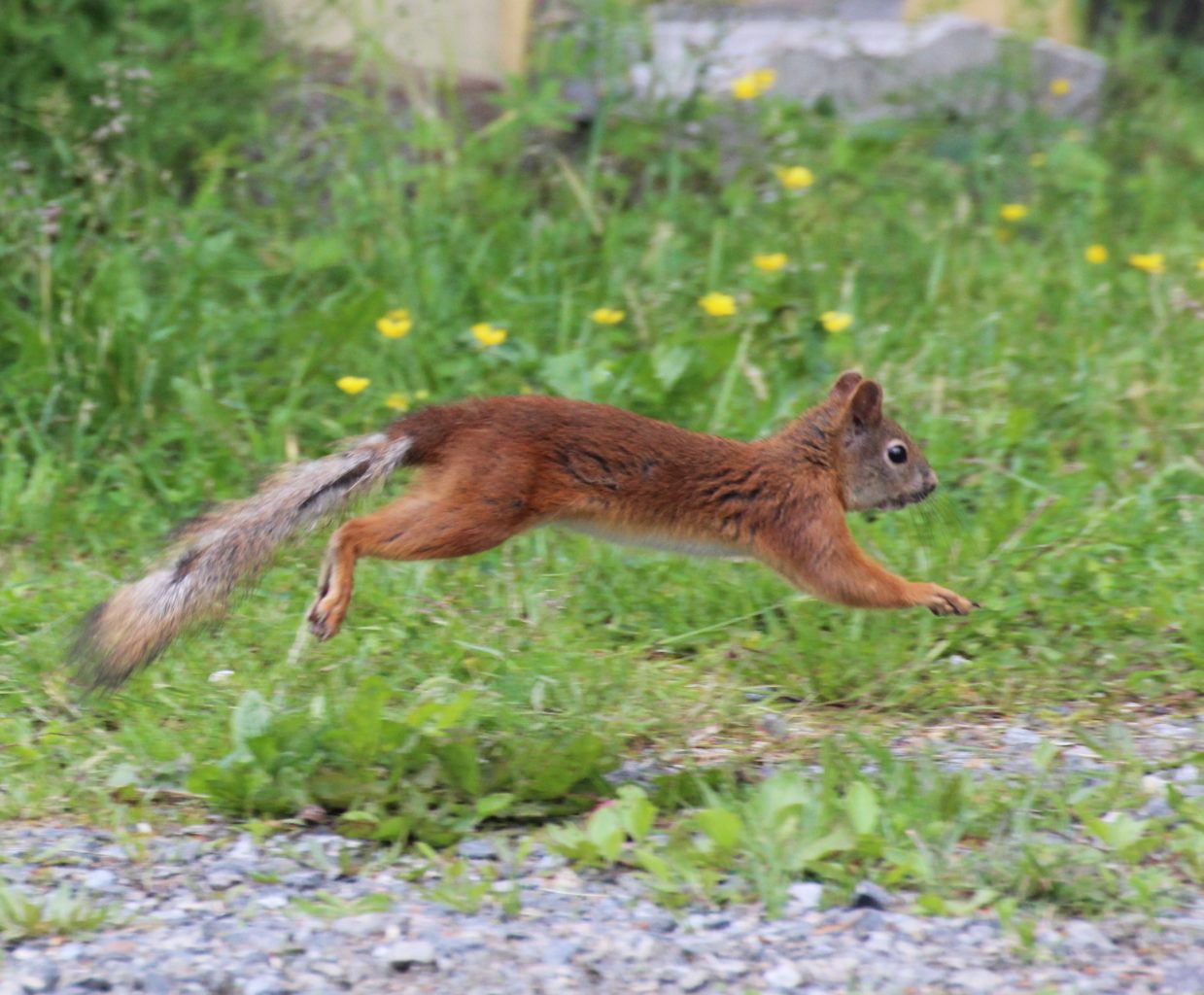 Valokuvaaja: Irja lehtinen