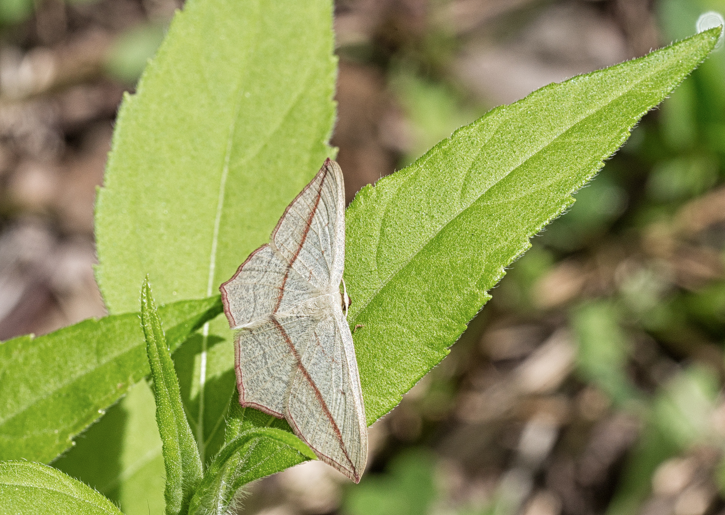 Valokuvaaja: Pertti Rautiainen
