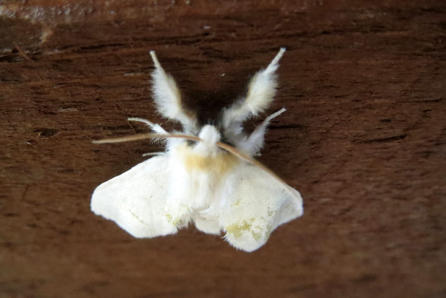 Valokuvaaja: Terttu Rantanen Valokuvaaja: Terttu Rantanen