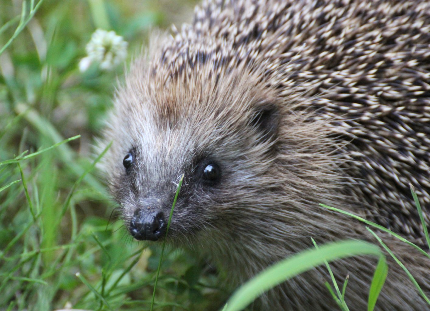 Valokuvaaja: Irja lehtinen