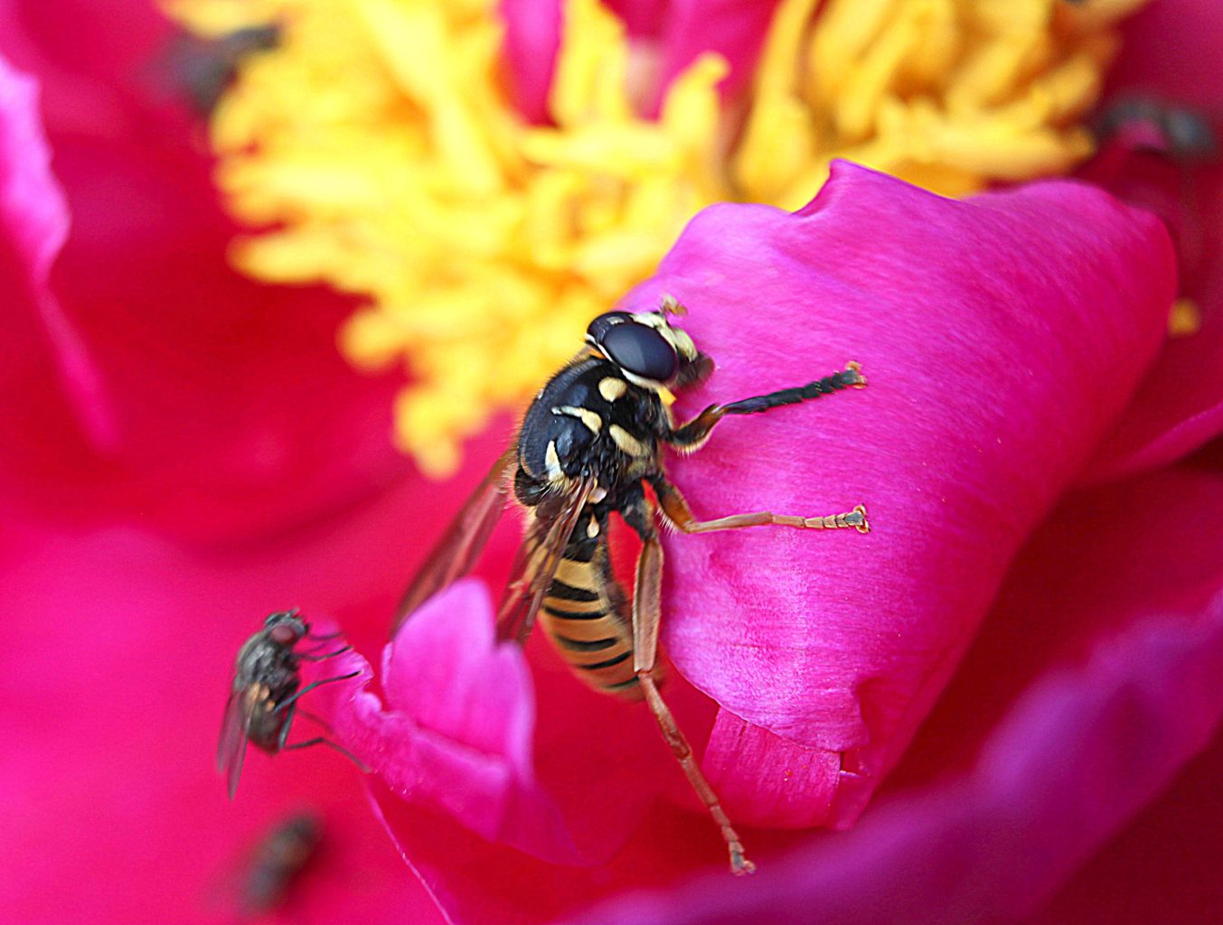 Valokuvaaja: Irja lehtinen