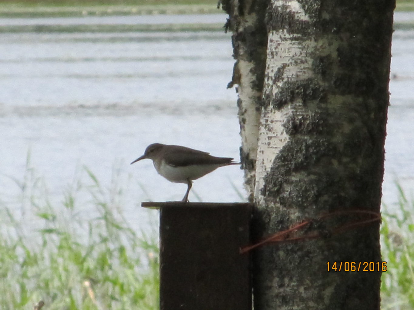 Valokuvaaja: TUULA Makkonen