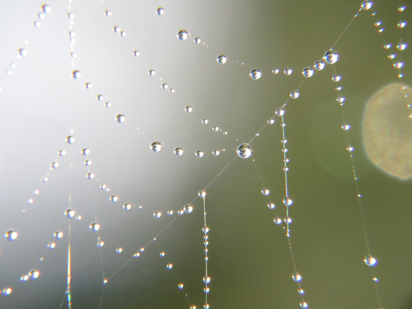 Valokuvaaja: anu kokkila