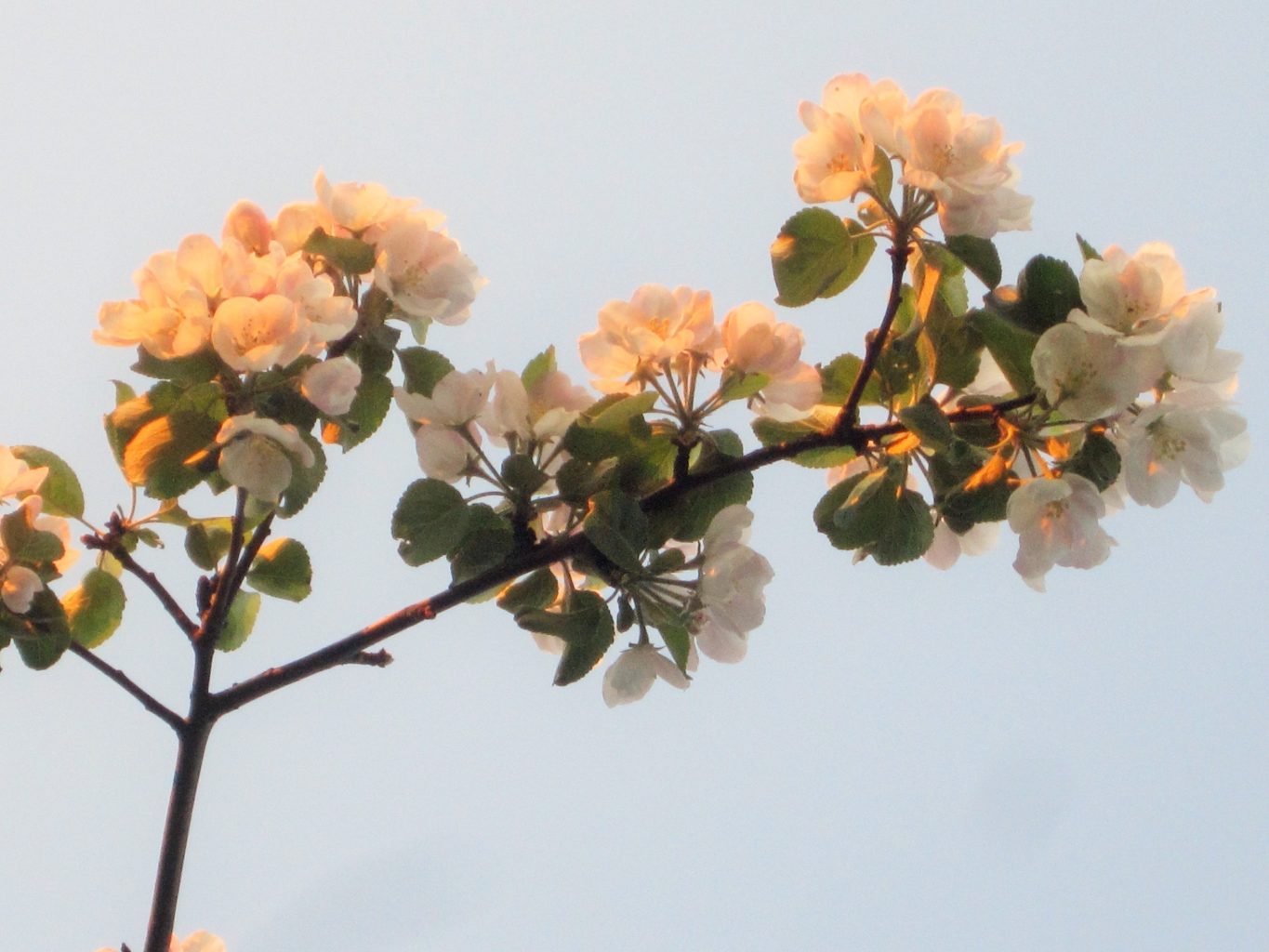 Valokuvaaja: PirkkoLiisa Hautamäki