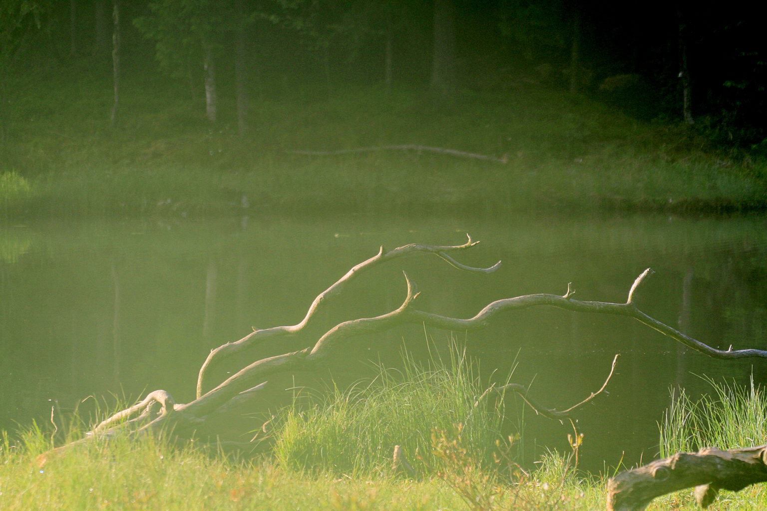 Valokuvaaja: Sirpa Jyske