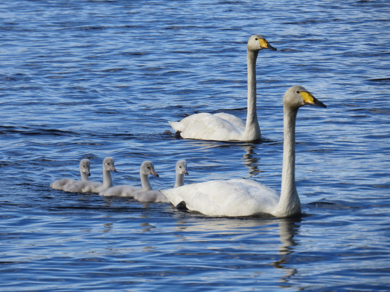 Valokuvaaja: Jaana Talvinen