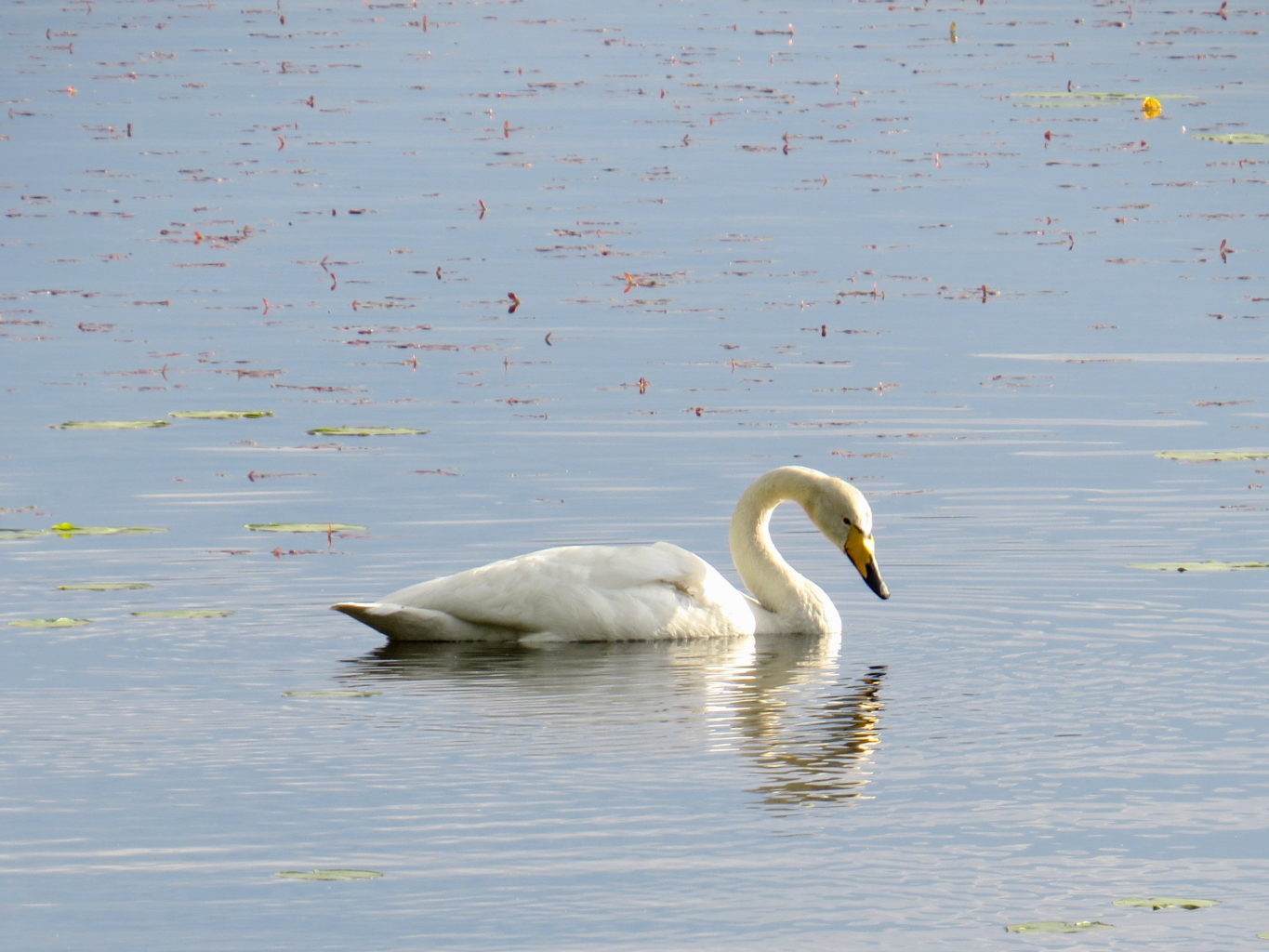 Valokuvaaja: Jaana Talvinen