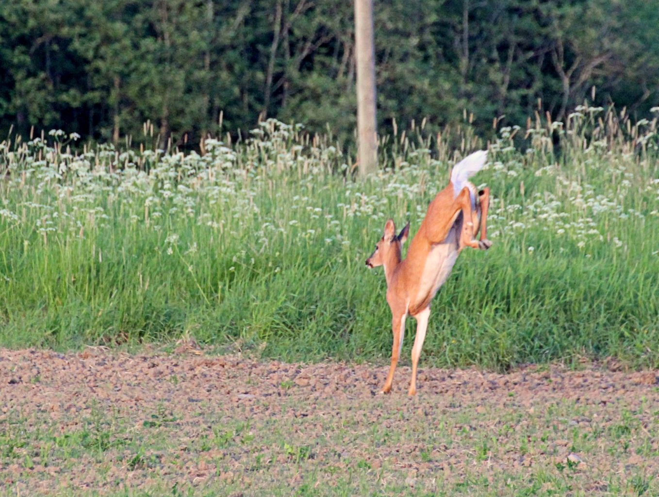 Valokuvaaja: Irja Lehtinen