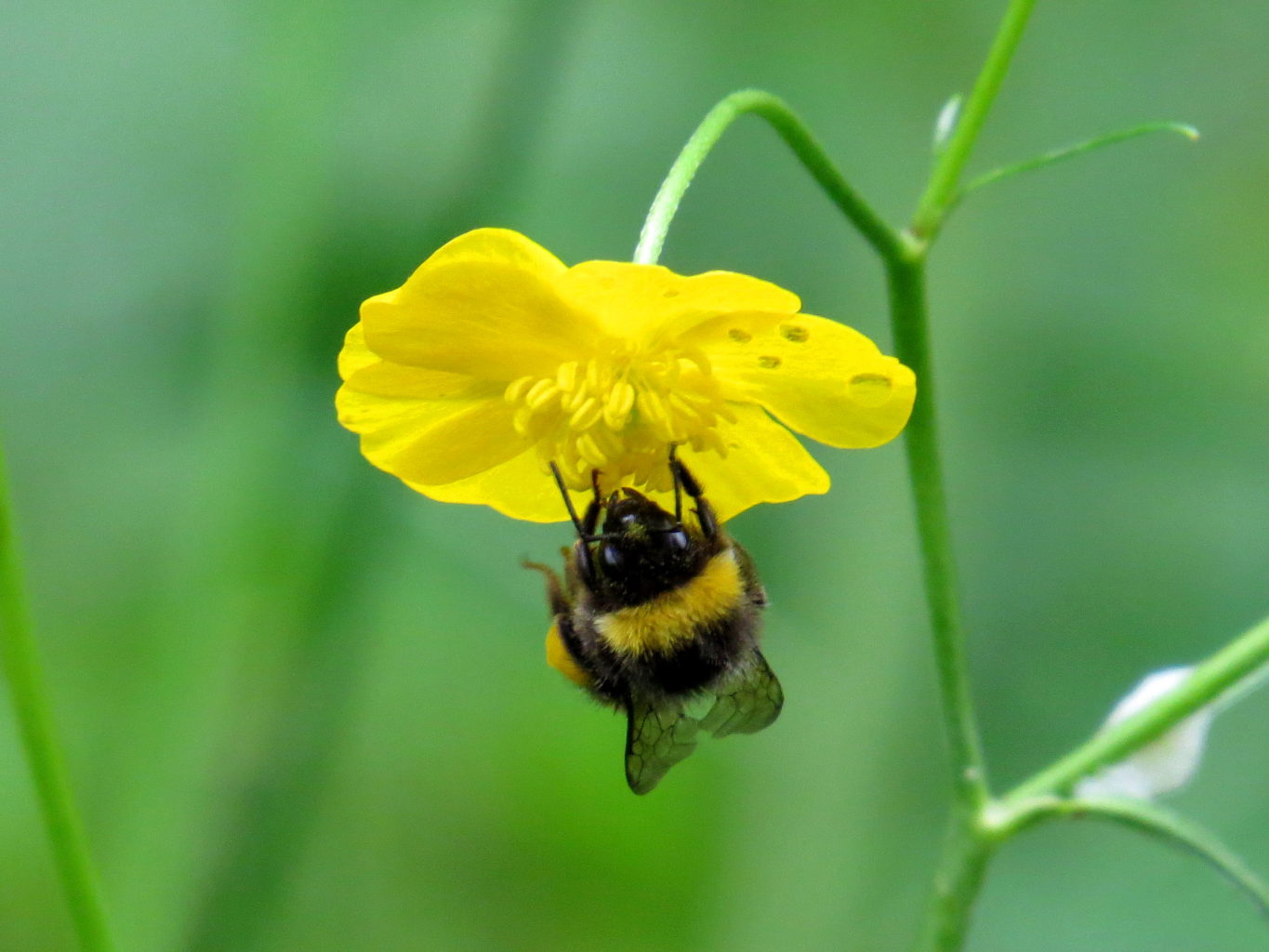 Valokuvaaja: Jaana Talvinen