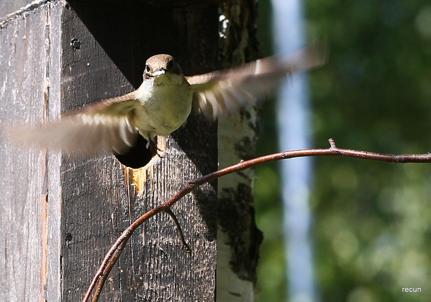 Valokuvaaja: reijo lehtonen