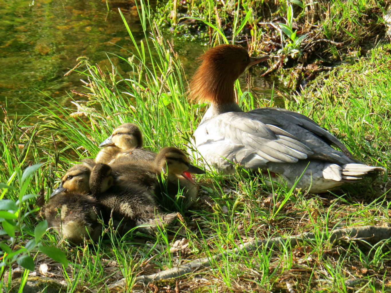 Valokuvaaja: Jaana Talvinen