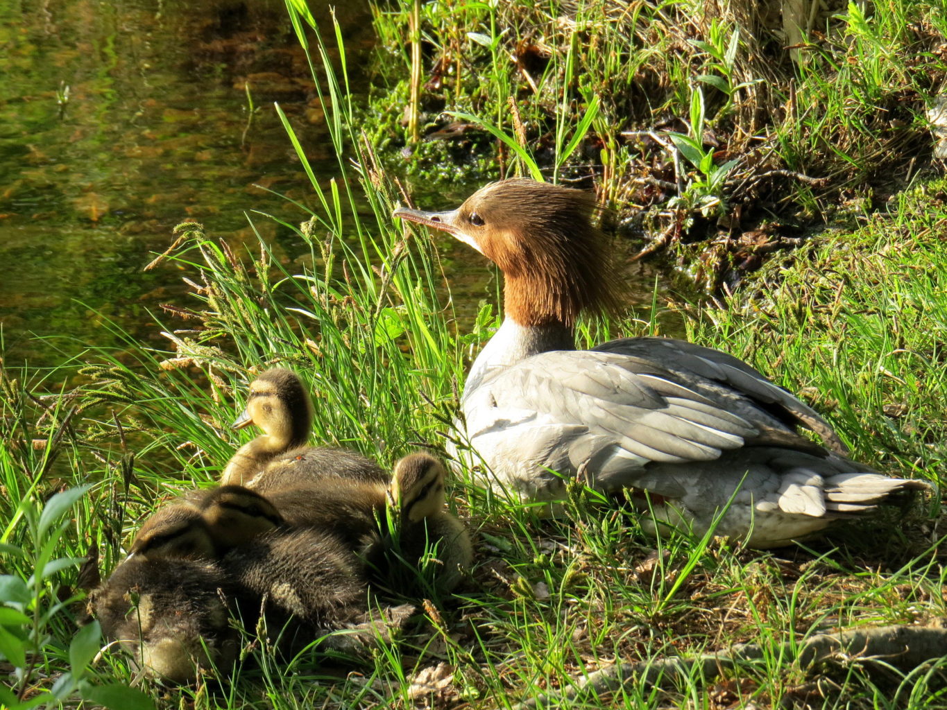 Valokuvaaja: Jaana Talvinen