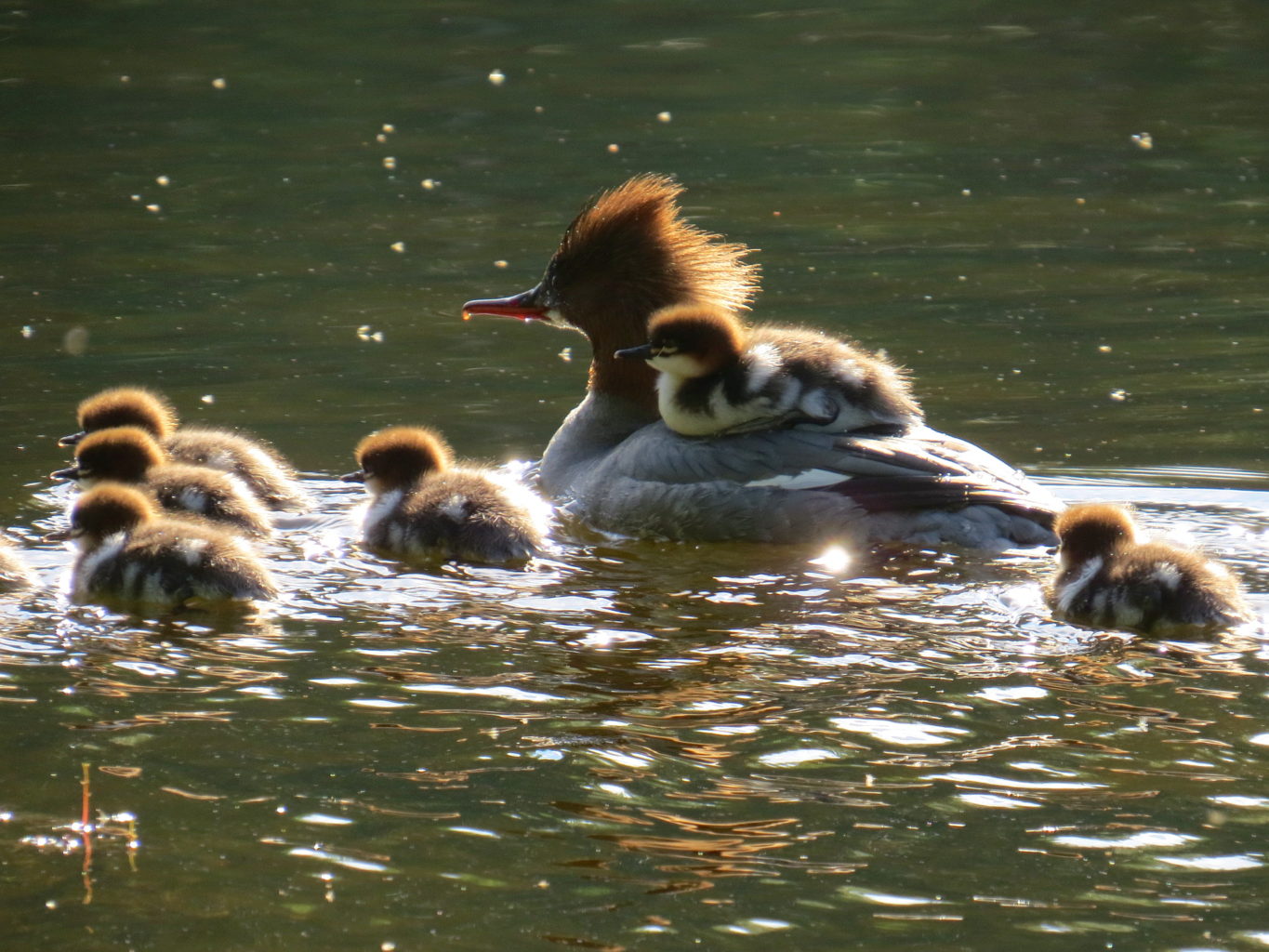 Valokuvaaja: Jaana Talvinen