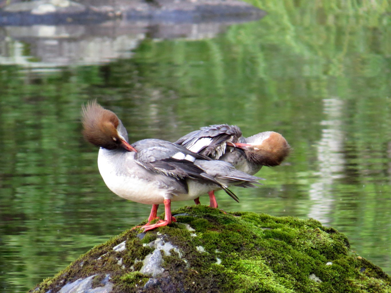 Valokuvaaja: Jaana Talvinen