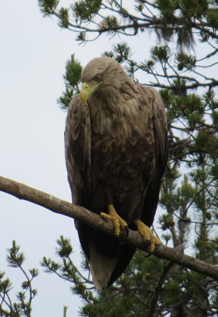 Valokuvaaja: Katri Himanen