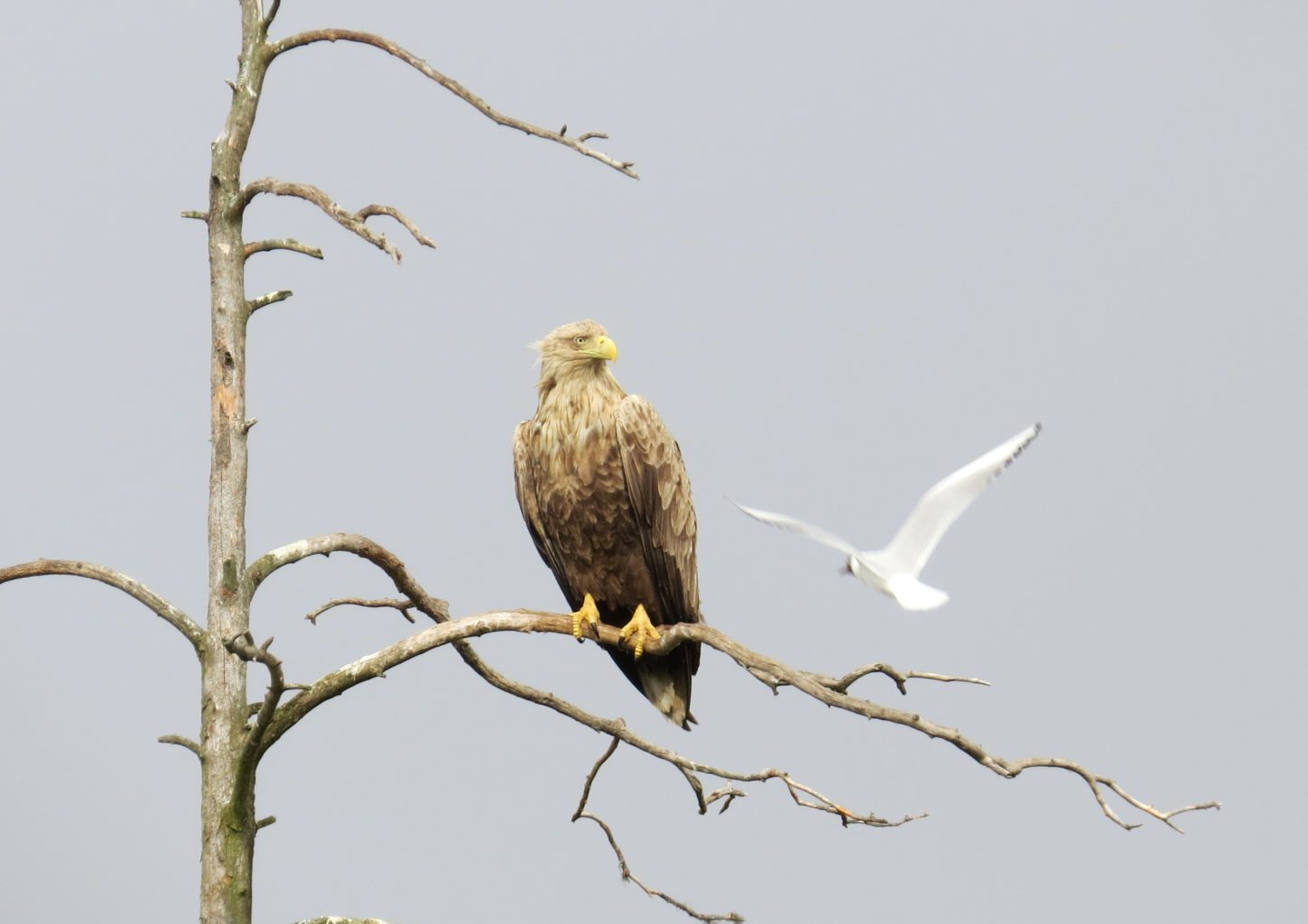 Valokuvaaja: Katri Himanen