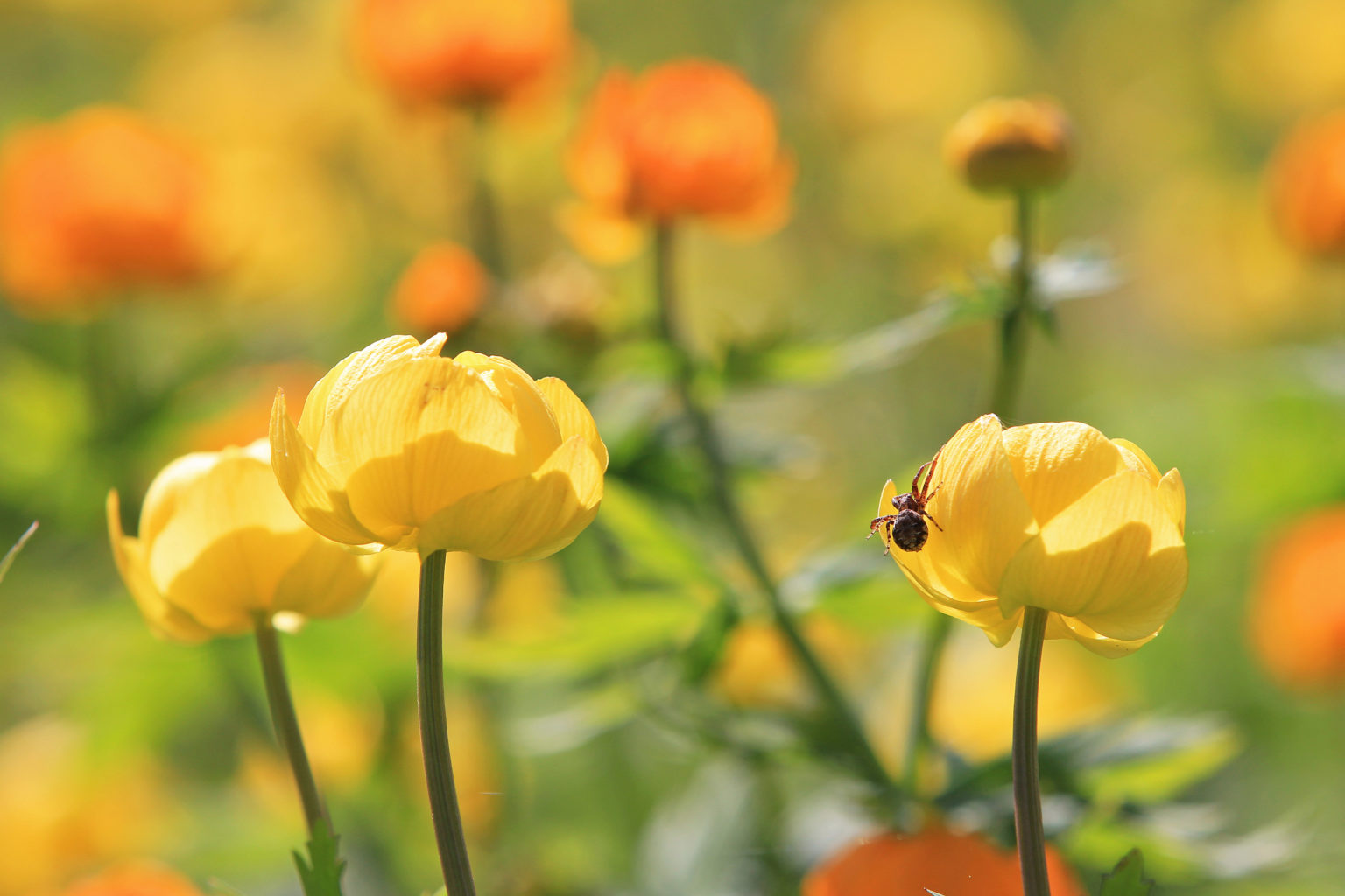 Valokuvaaja: Mika Koivisto