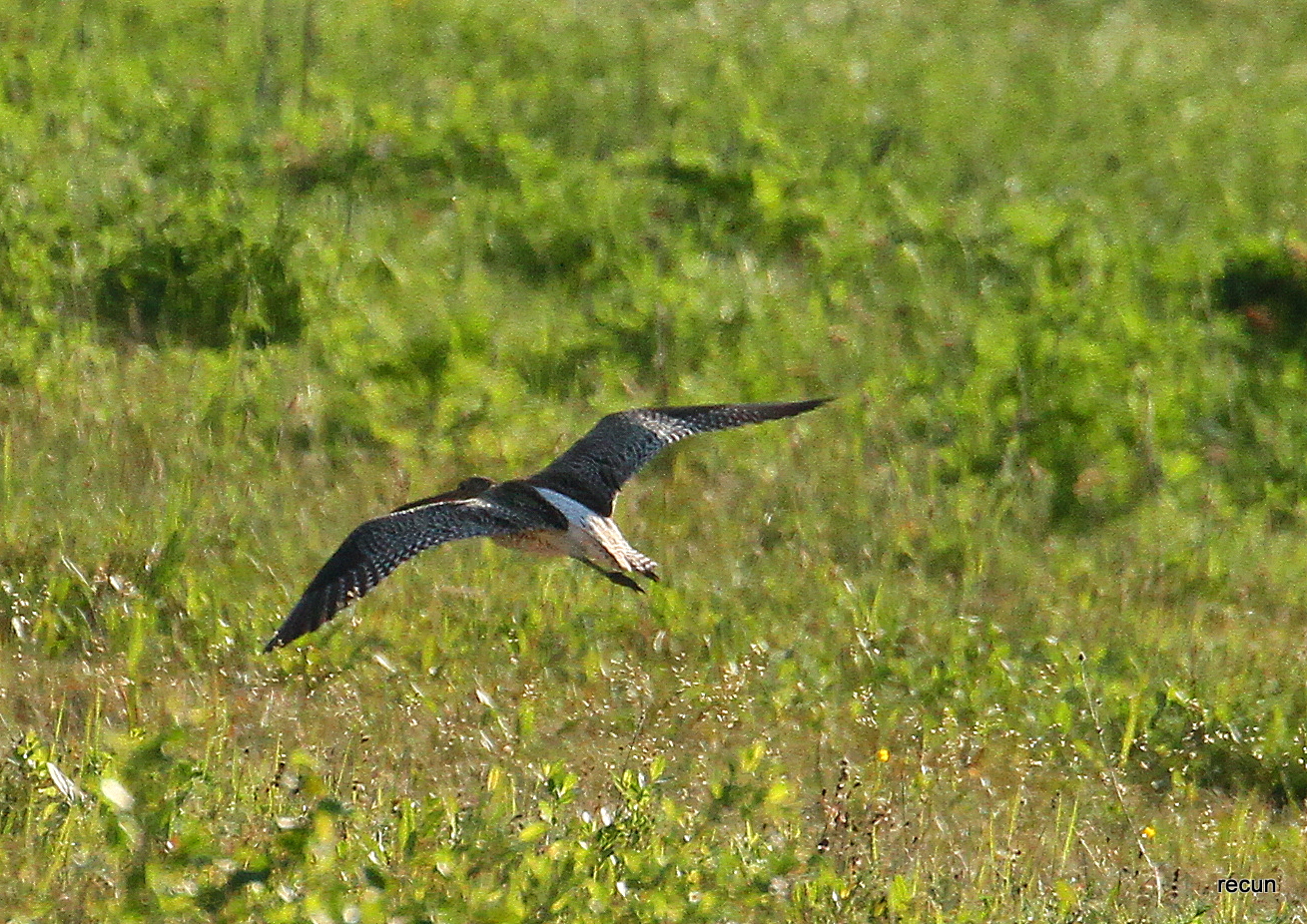 Valokuvaaja: reijo lehtonen