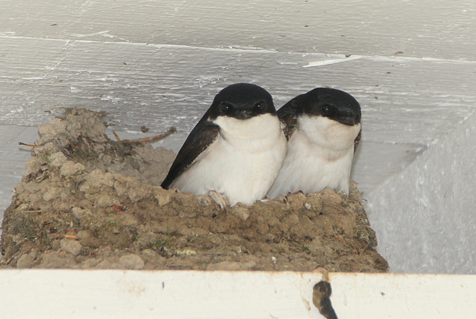 Valokuvaaja: Sirpa Jyske