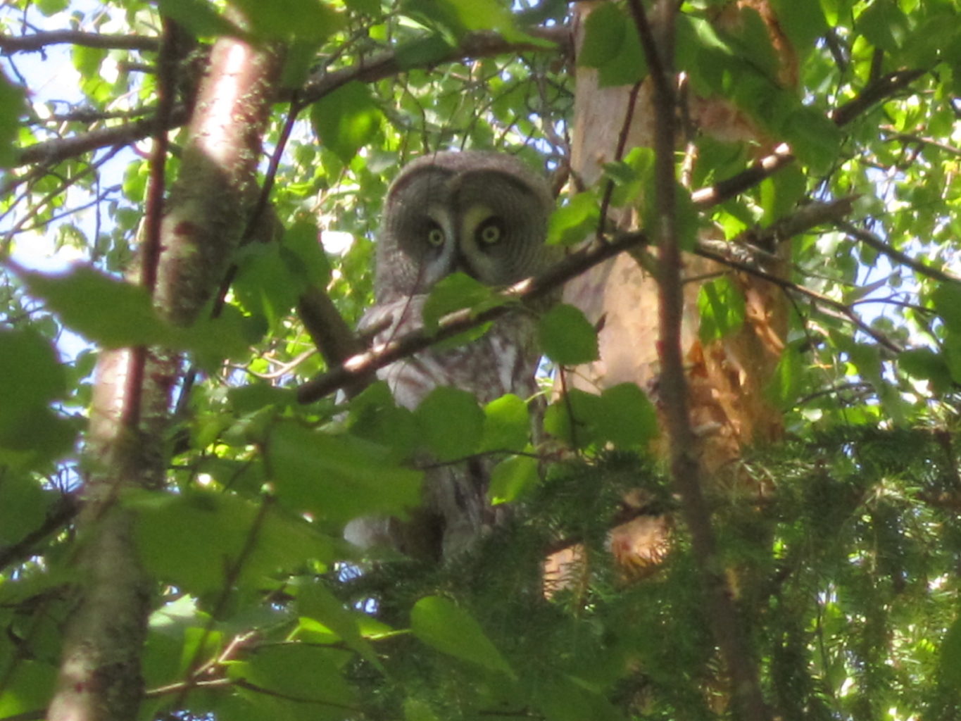 Valokuvaaja: Elina Kautto