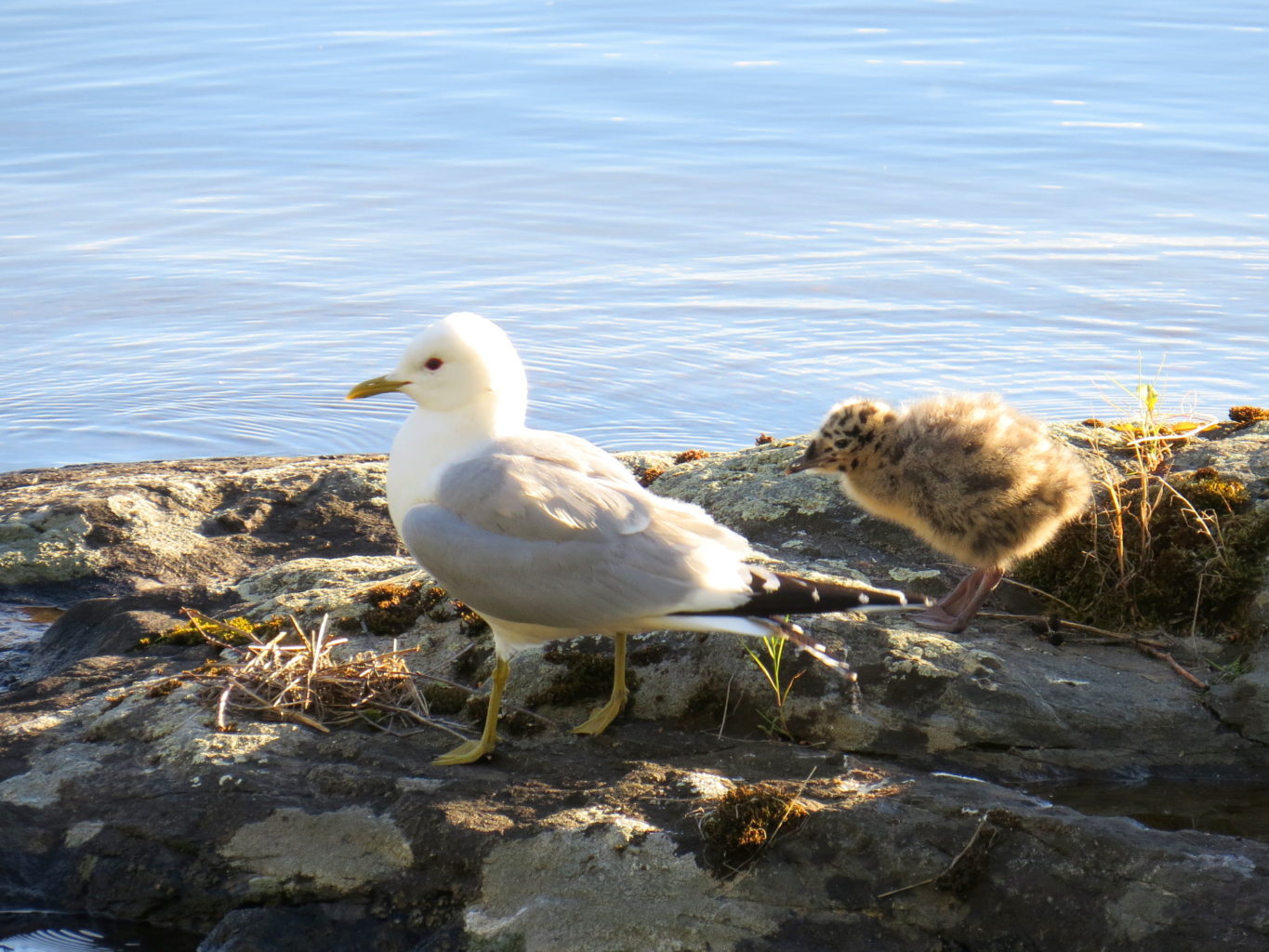 Valokuvaaja: Jaana Talvinen