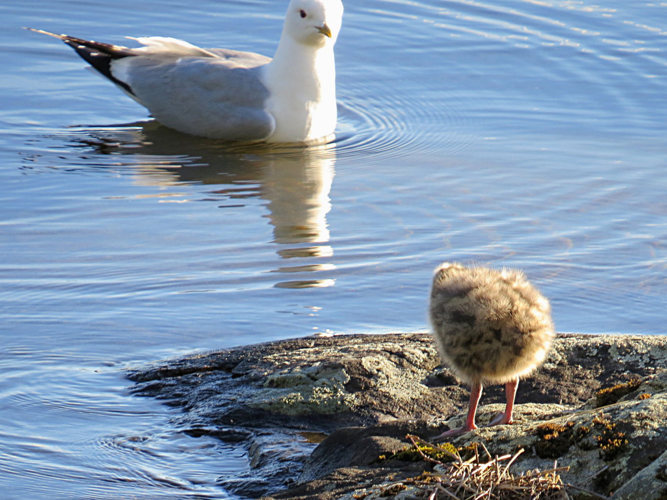 Valokuvaaja: Jaana Talvinen
