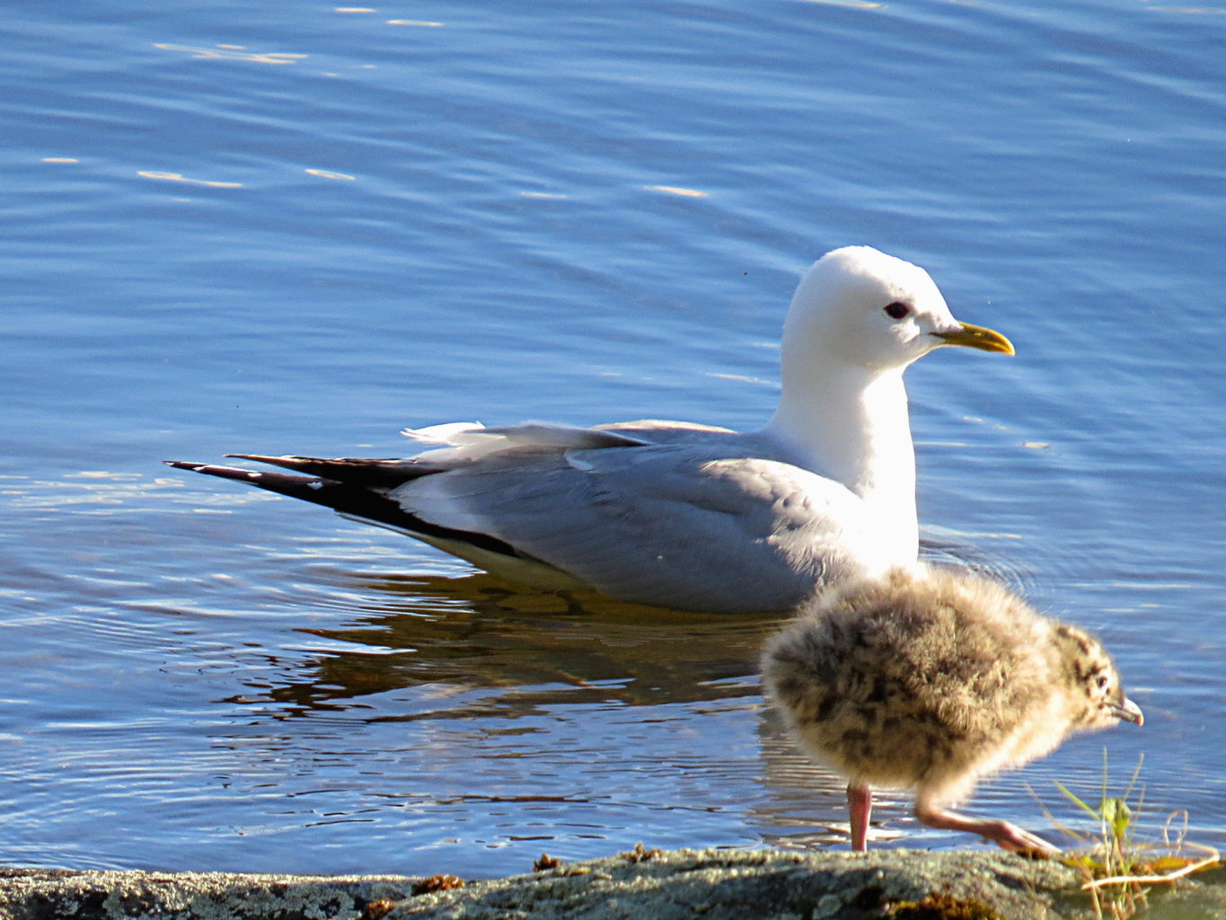 Valokuvaaja: Jaana Talvinen