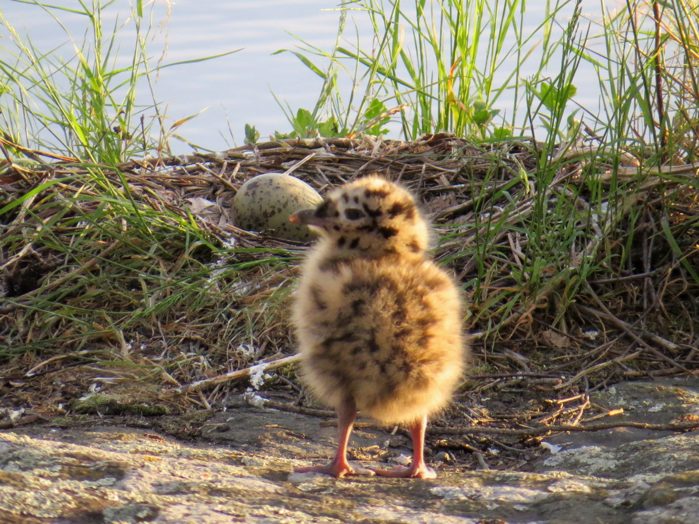 Valokuvaaja: Jaana Talvinen