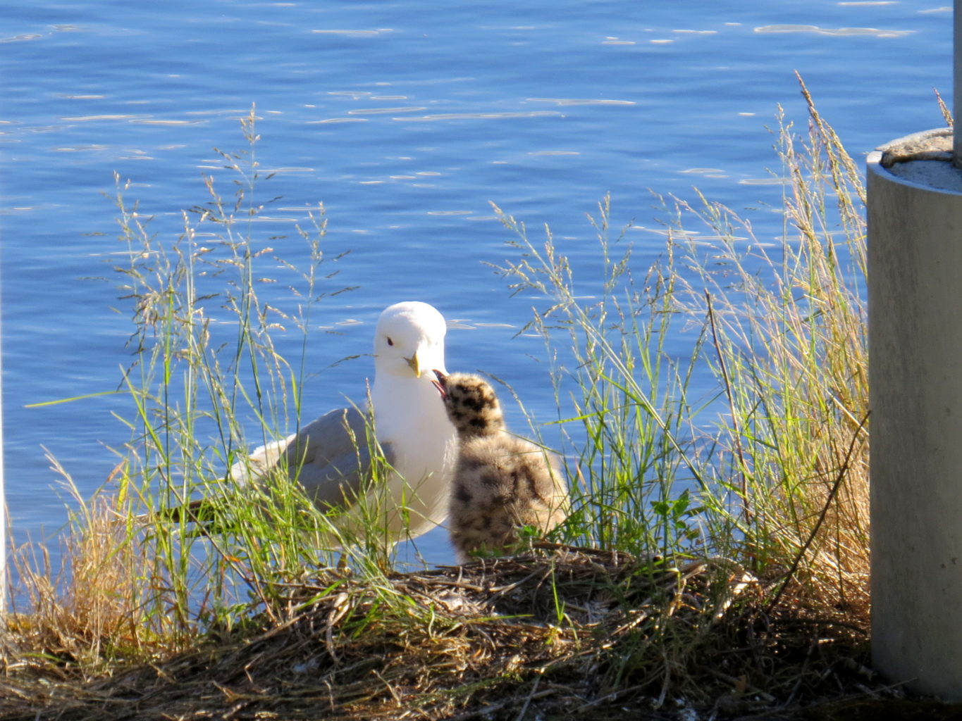 Valokuvaaja: Jaana Talvinen