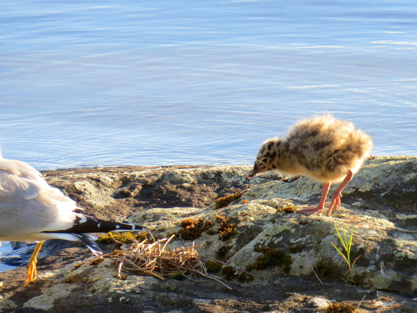 Valokuvaaja: Jaana Talvinen