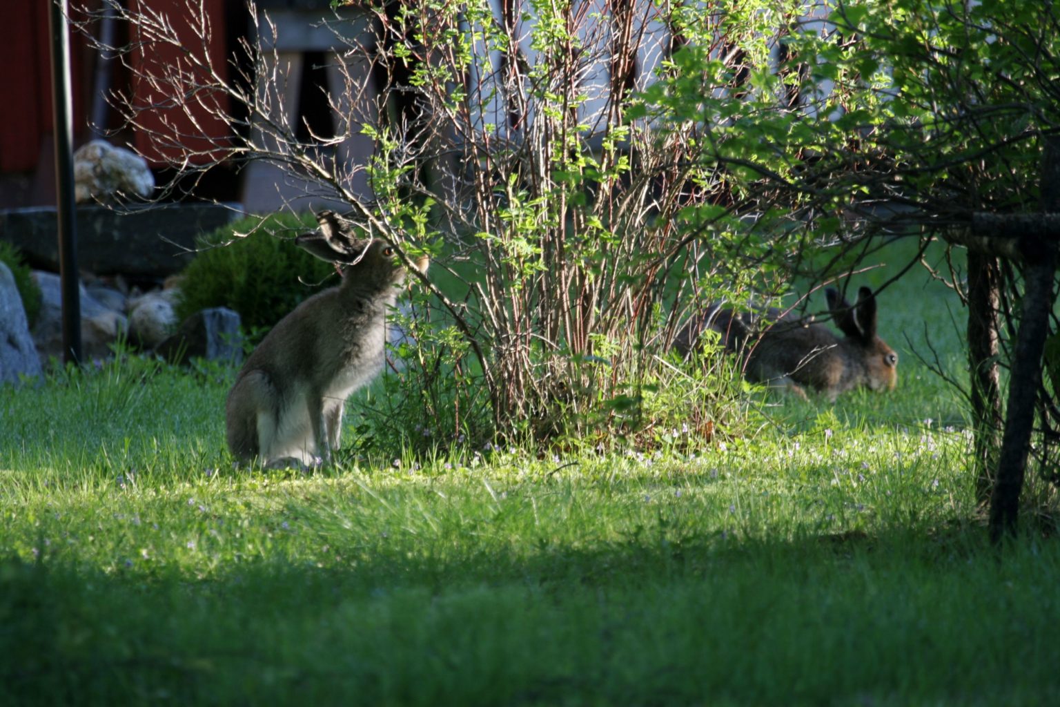 Valokuvaaja: Pirkko Siukonen