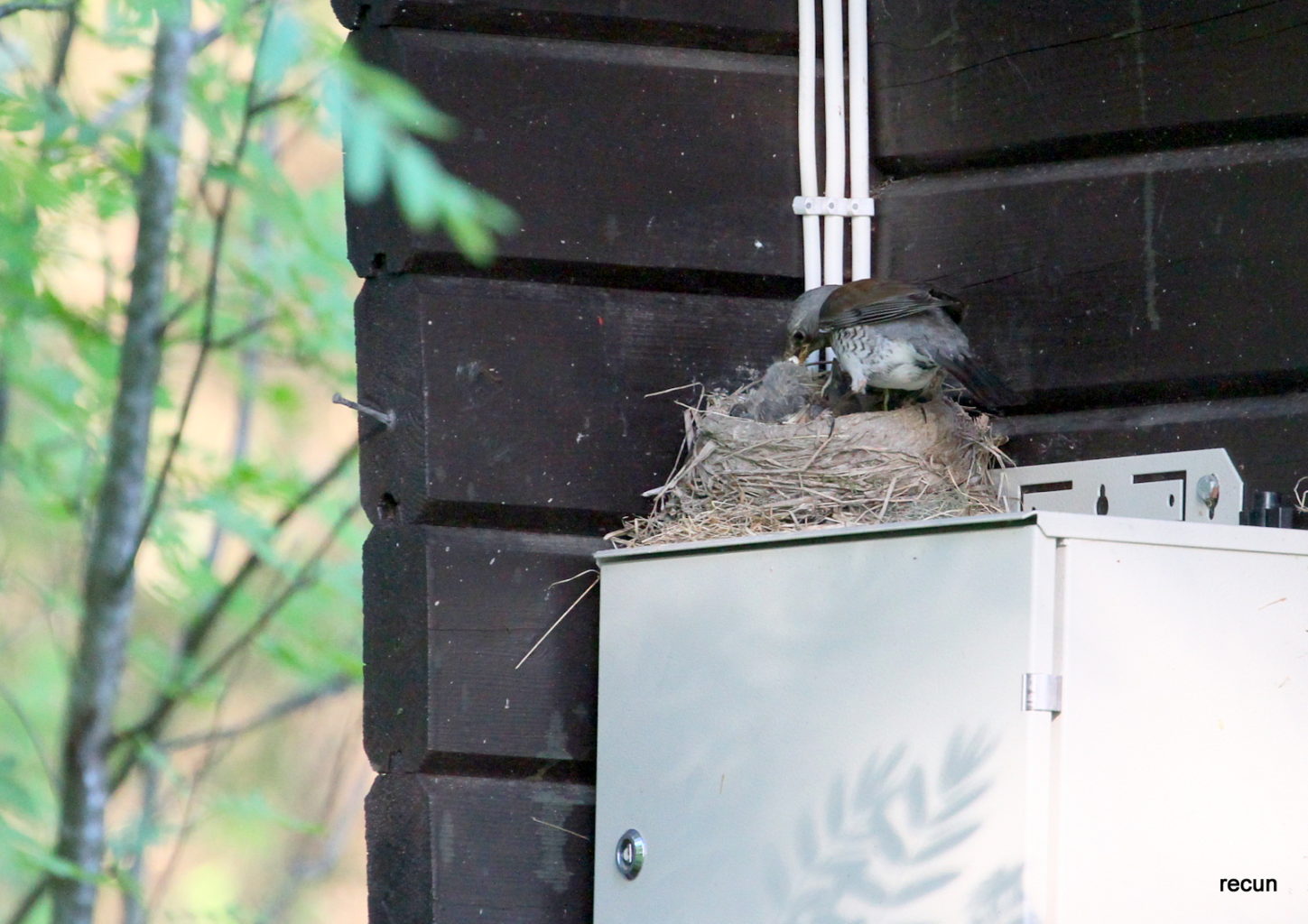 Valokuvaaja: reijo lehtonen