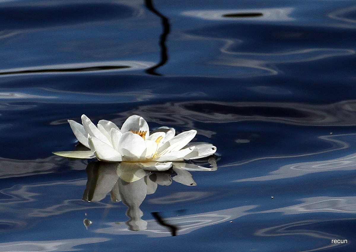 Valokuvaaja: reijo lehtonen