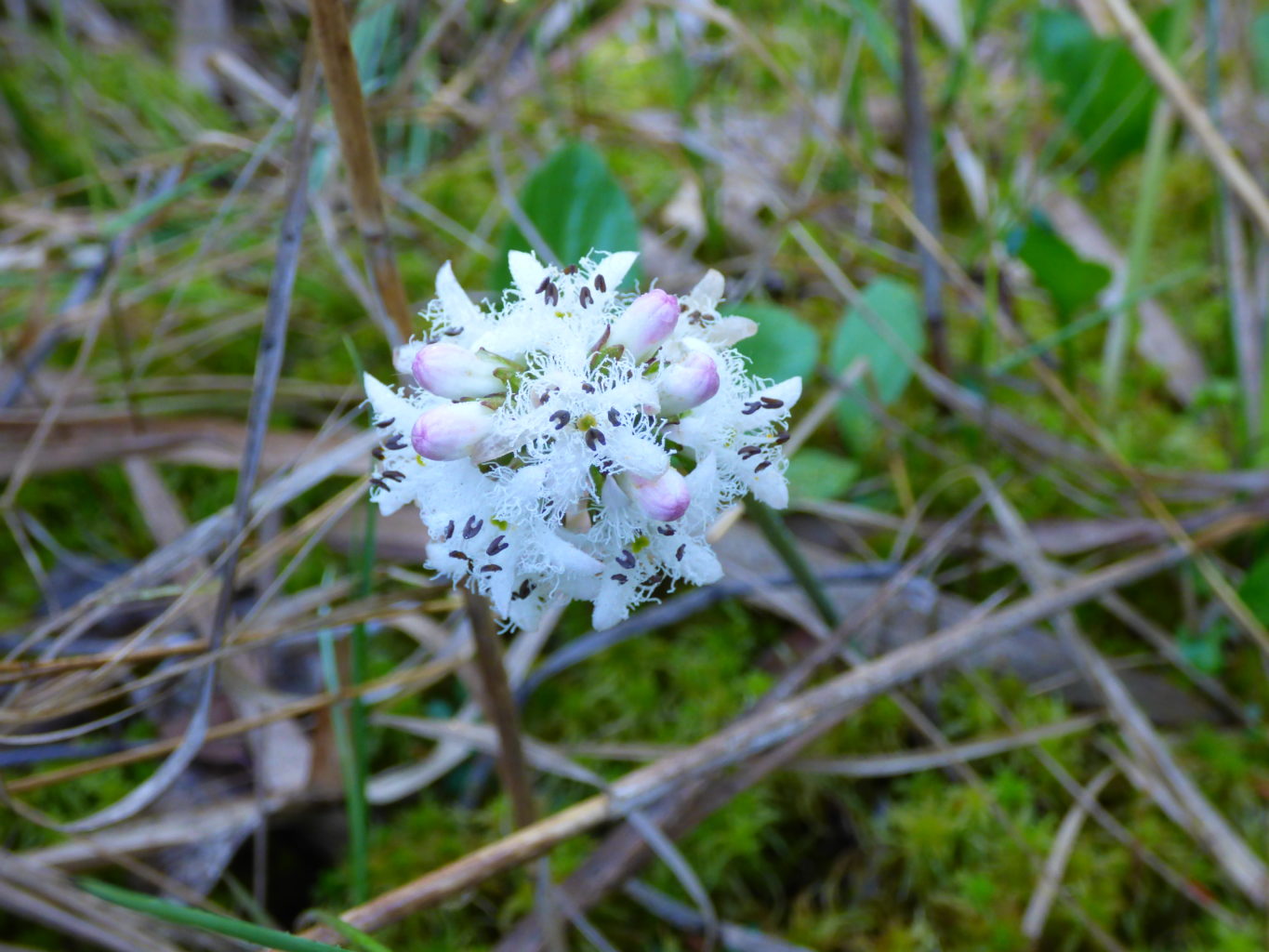 Valokuvaaja: Hannu Rissanen