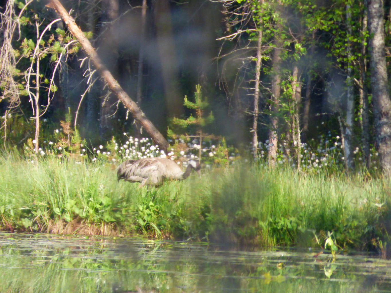 Valokuvaaja: Hannu Rissanen