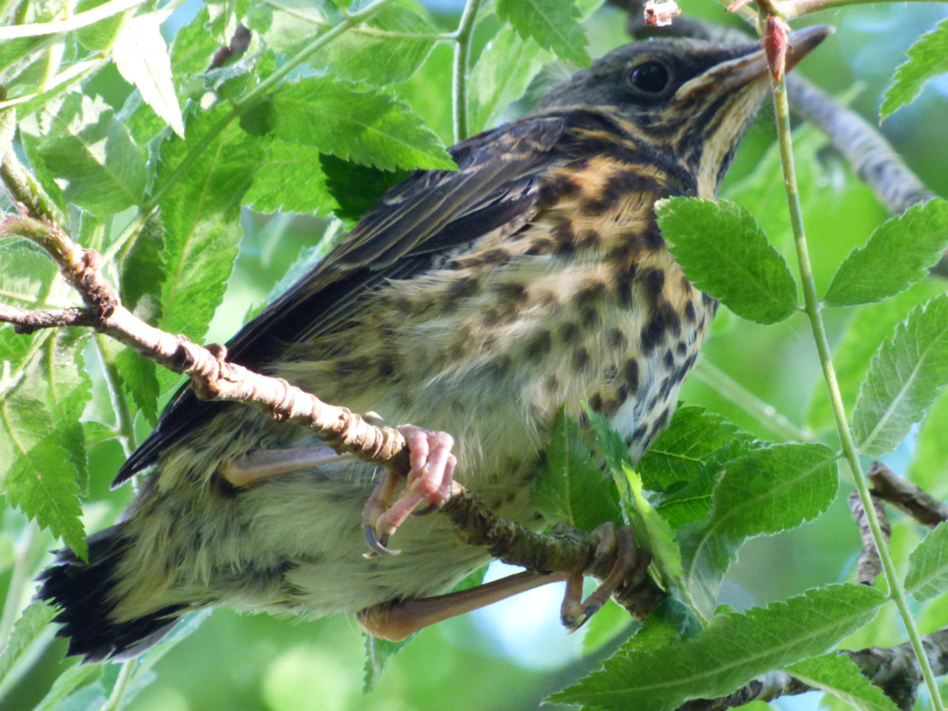 Valokuvaaja: Hannu Rissanen