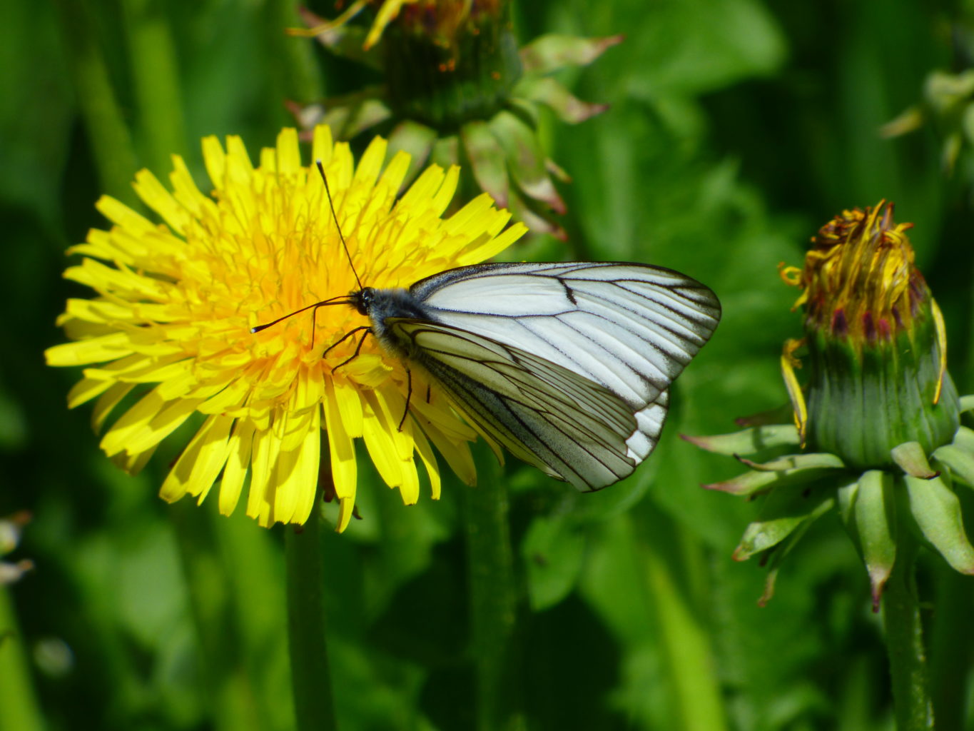 Valokuvaaja: Hannu Rissanen