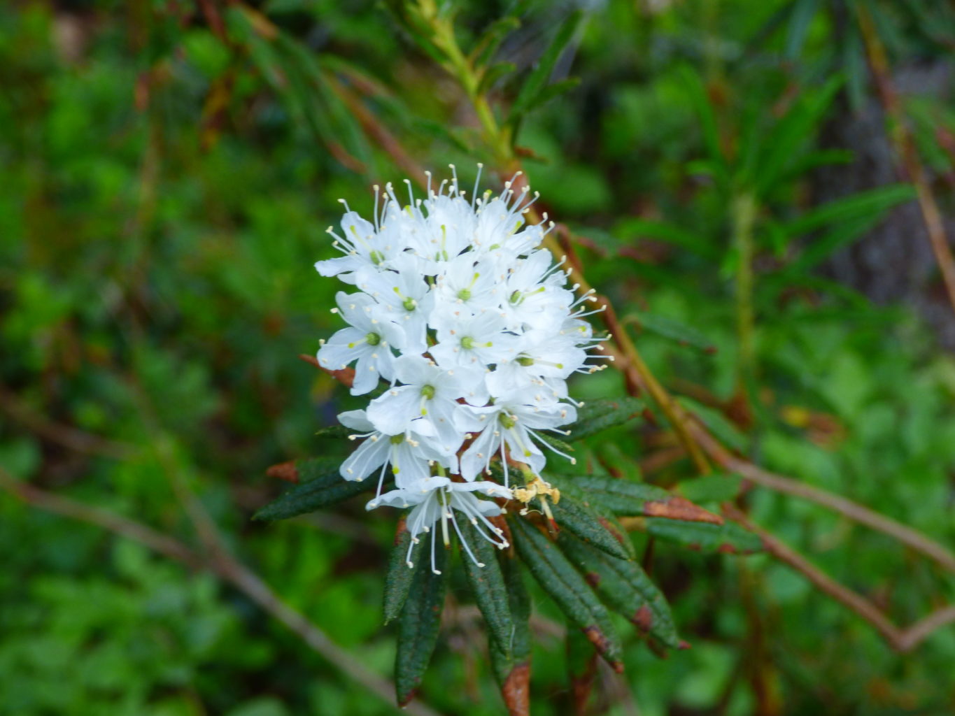 Valokuvaaja: Hannu Rissanen Valokuvaaja: Hannu Rissanen
