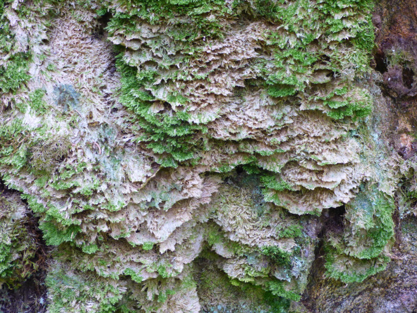 Valokuvaaja: Hannu Rissanen Valokuvaaja: Hannu Rissanen