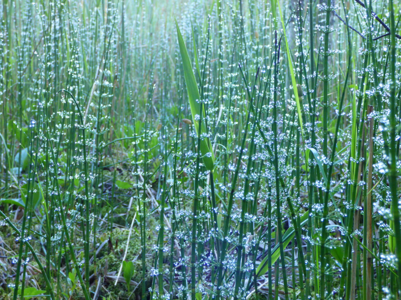 Valokuvaaja: Hannu Rissanen