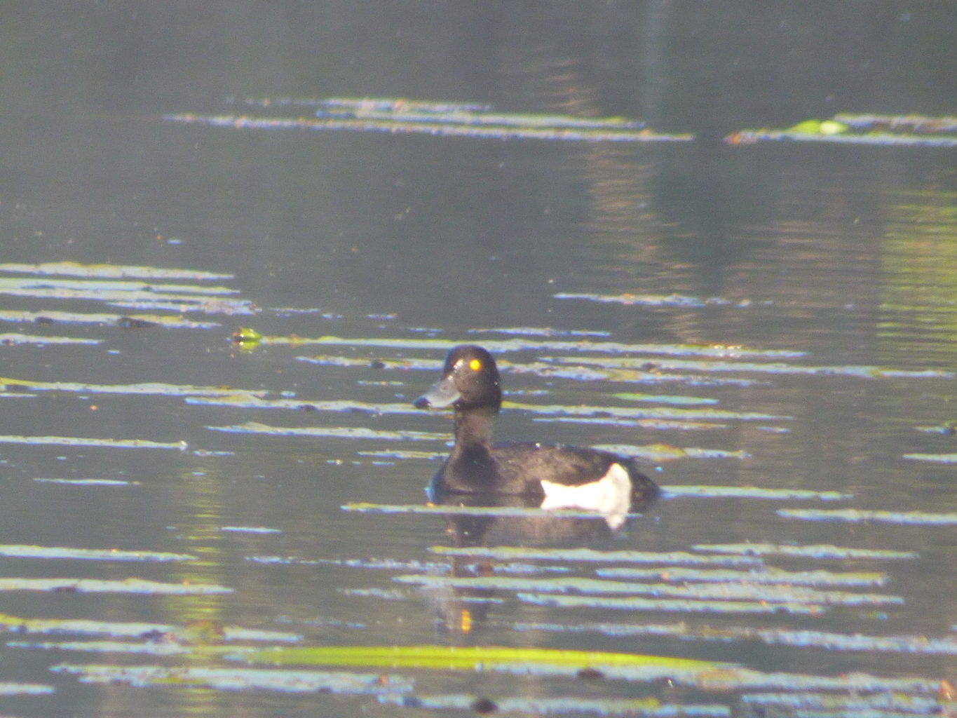 Valokuvaaja: Hannu Rissanen Valokuvaaja: Hannu Rissanen