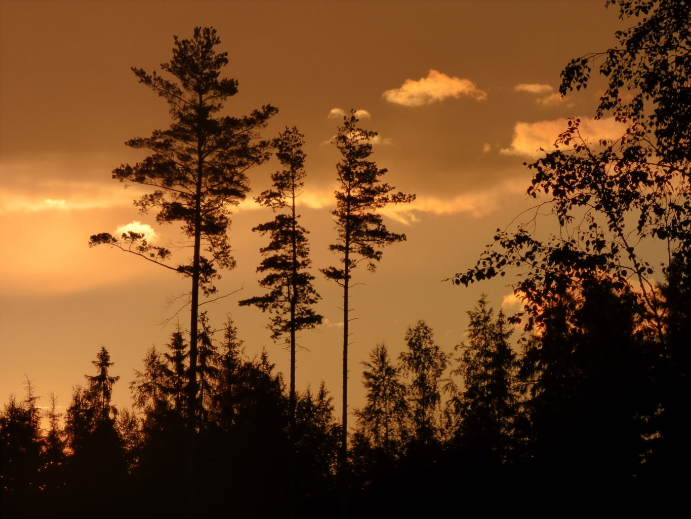 Valokuvaaja: Hannu Rissanen