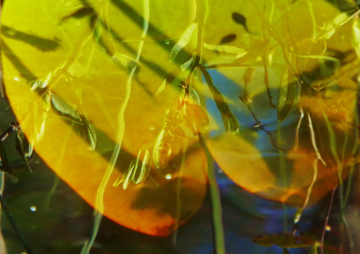 Valokuvaaja: Eija Autio