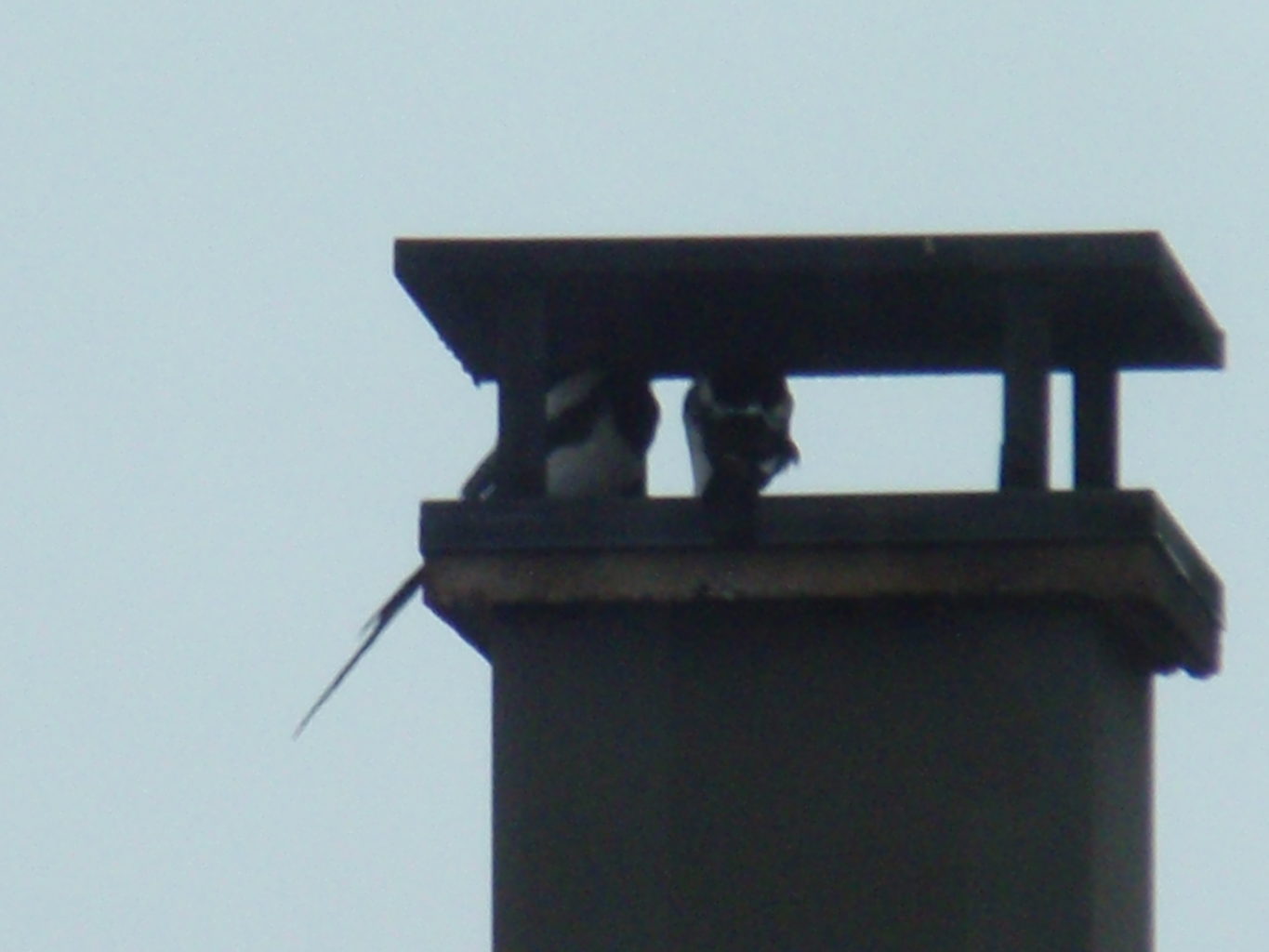 Valokuvaaja: eeva utriainen